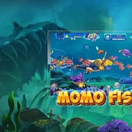 Bí kíp bắn cá đổi tiền momo: Thủ thuật và khuyến mãi hot tại Casino Việt Nam
