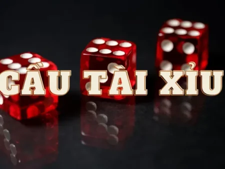 Tài Xỉu và Các Loại Cược: Hướng Dẫn Chi Tiết Cho Người Mới 2026